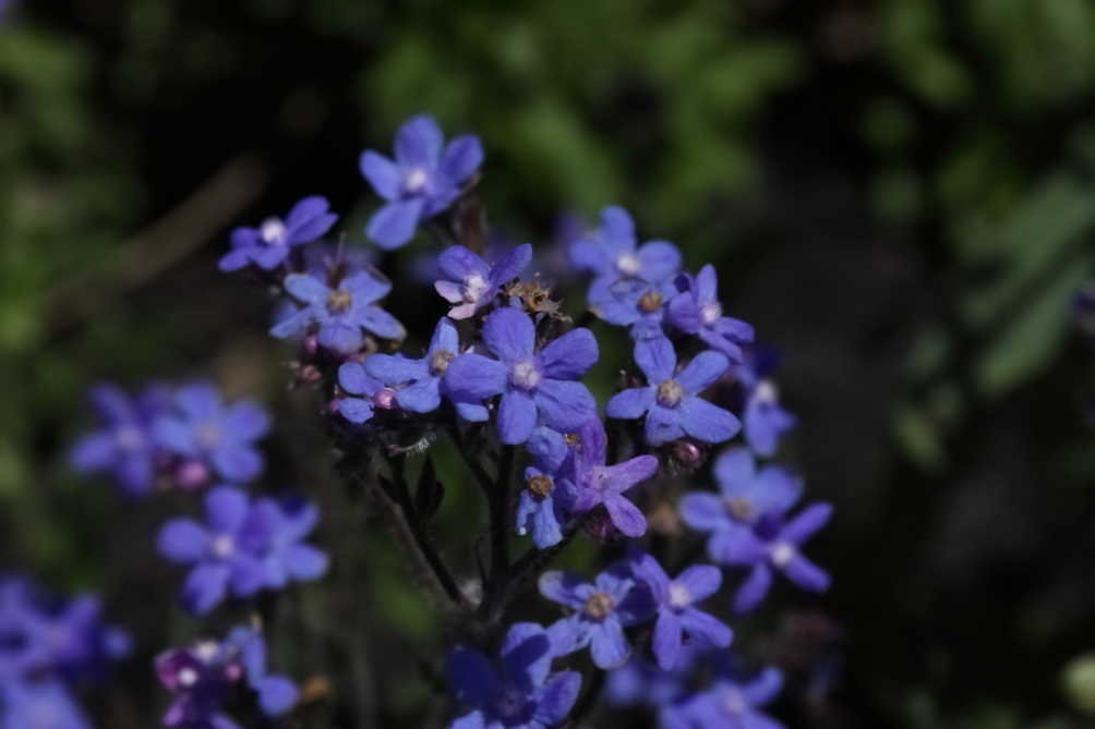 2012 05 20 3938